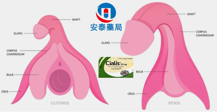 1719837704946693.png image.png